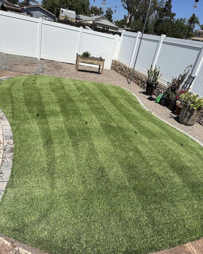 A freshly cleaned artificial turf lawn with clean stripes, by Glaze Turf Revive