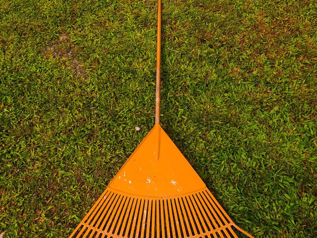 A rake resting on a green lawn